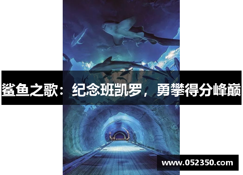 鲨鱼之歌：纪念班凯罗，勇攀得分峰巅